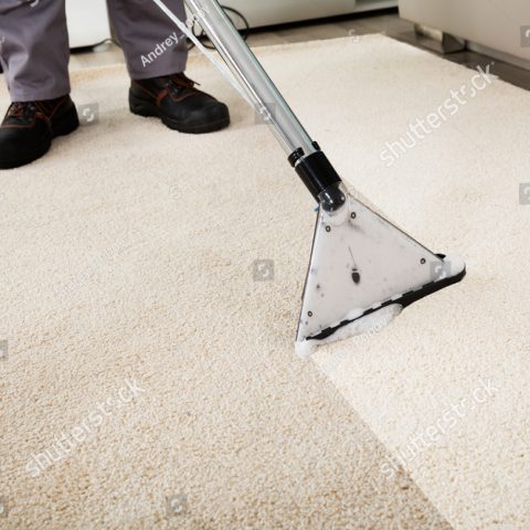 stock-photo-close-up-of-a-person-cleaning-carpet-with-vacuum-cleaner-561916777
